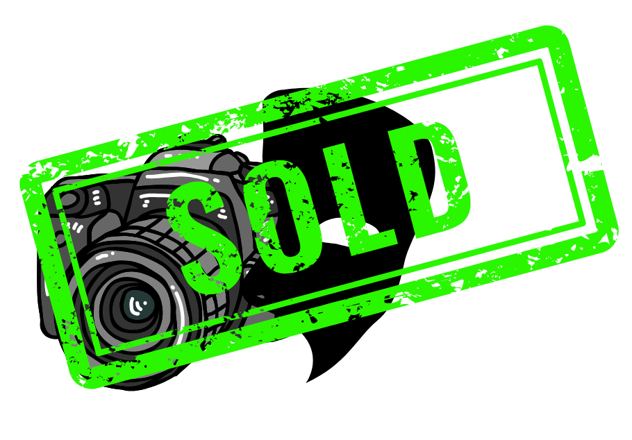 Meow Wolf Halloween Proposal 5.5.2025 (3)